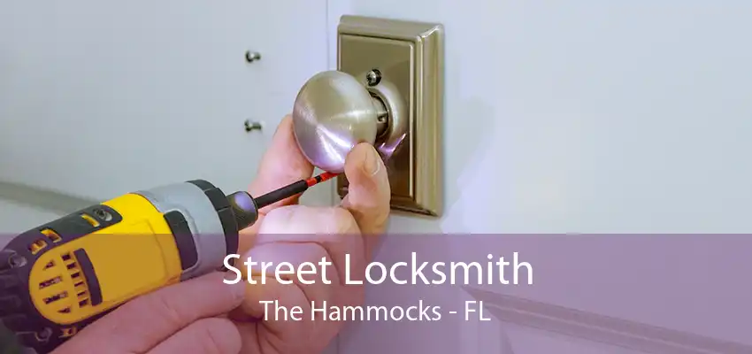 Street Locksmith The Hammocks - FL