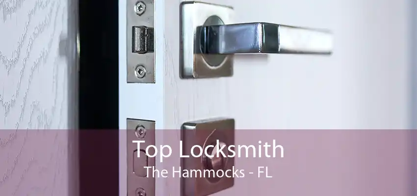 Top Locksmith The Hammocks - FL