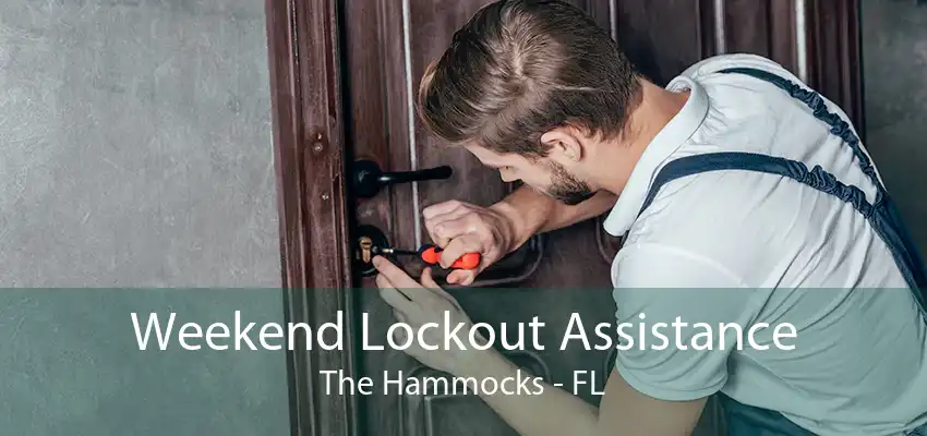 Weekend Lockout Assistance The Hammocks - FL